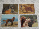 LOT Van 46 Postkaarten HONDEN - 5 - 99 Cartes