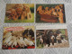 Delcampe - LOT Van 46 Postkaarten HONDEN - 5 - 99 Karten