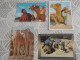 Delcampe - LOT Van 191 Postkaarten DIEREN ALGEMEEN - 100 - 499 Karten