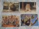 Delcampe - LOT Van 191 Postkaarten DIEREN ALGEMEEN - 100 - 499 Postkaarten