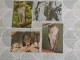 Delcampe - LOT Van 191 Postkaarten DIEREN ALGEMEEN - 100 - 499 Postcards