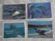 Delcampe - LOT Van 191 Postkaarten DIEREN ALGEMEEN - 100 - 499 Postkaarten