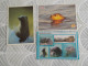 Delcampe - LOT Van 191 Postkaarten DIEREN ALGEMEEN - 100 - 499 Karten