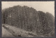 122576/ Giant's Causeway, The Giant's Loom - Antrim