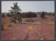 106073/ LÜNEBURGER HEIDE - Lüneburger Heide