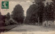 DORMANS      ( MARNE )  LES ALLEES - Dormans