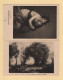 N°354 + 355 - 30c 55c Victoire De Samothrace Sur Cartes Du Musee Du Louvre - 1939 - Cartas & Documentos