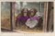 Animals Postcard - Two Chimpanzees In A Zoo  DZ335 - Apen