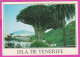 293788 / Spain - Isle De Tenerife PC 1991 Los Realejos USED 45+5+5Pta King Juan Carlos I Flamme "... EL CÓDIGO POSTAL" - Lettres & Documents