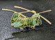 N Pins Pin's Insigne Militaire Helicoptere Chinook Lapel Pin Military Helicopter Us Marines Boeing Ch-47 Tres Bon état - Army