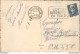 Ah72 Cartolina Tematica Cani 1942 - Autres & Non Classés