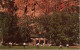 Zion Lodge National Park Utah Baseball Softball Game - Honkbal
