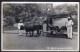 Portugal - Circa 1922 - Madeira - Carro De Bois - Madeira