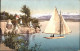 11778592 Zuerich Zuerichhorn Alpen Panorama  Segelschiff Zuerich - Altri & Non Classificati