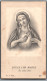 Bidprentje Olen - Van Naelten Maria Philomena (1869-1951) - Images Religieuses