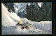AK Wintersport, Bobsleighrennen  - Deportes De Invierno
