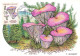 Carte Maximum-Champignons-Chanterelle-Lambert-Oblitération Paris En 1987    L2886 - Stamps (pictures)