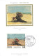 Carte Maximum-Eugène Boudin-Femme à L'ombrelle-Oblitération Honfleur En 1987    L2885 - Timbres (représentations)