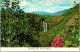 3-5-2024 (4 Z 5) USA - Island Of Kauai (Hawaii) Opakaa Falls - Kauai