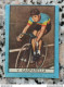 Bh Figurina Cartonata Nannina Cicogna Ciclismo Cycling Anni 50 V.gasparella - Catalogus