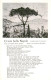 73618976 Napoli Neapel O Mia Bella Napoli Lied Und Tango Panorama Kuenstlerkarte - Sonstige & Ohne Zuordnung