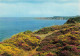 22 LE CAP FREHEL LA LANDE  - Cap Frehel