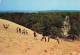 33 BASSIN D ARCACHON LA DUNE DU PILAT - Arcachon