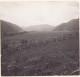 Valea Cernei La Toplița, Județul Hunedoara, Fotografie De Emmanuel De Martonne, 1921 G42N - Orte