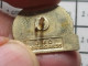 313F Pin's Pins / Beau Et Rare : AUTRES / CE QUIBERON FEU D'ARTIFICE - Autres & Non Classés