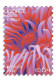 Cyprus.2024.Europa CEPT.Underwater Fauna And Flora.2 V. ** . - Unused Stamps
