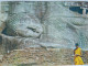 Sri Lanka Ceylan  Bouddha Couché  Gal Vihare  Polonnaruwa       CP240271 - Sri Lanka (Ceylon)