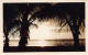 Hawaii - HONOLULU - Sunset - REAL PHOTO 19 October 1927 - Publ. Unknown  - Honolulu