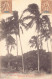 Nouvelle-Calédonie - NOUMEA - Palmiers - Ed. Caporn 81. - Nouvelle Calédonie