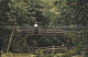 11774804 Taunton Deane Girdle Bridge Taunton Deane - Autres & Non Classés