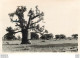 REGION CONGO OUBANGUI CHARI ANNEES 1930 Ref2  PHOTO 13 X 9 CM - Africa