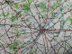 Delcampe - Carte Topographique Militaire UK War Office 1917 World War 1 WW1 Hazebrouck Ieper Poperinge Armentieres Cassel Kemmel - Topographical Maps
