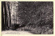 35440 / ORSAY 91-Essonne Seine Oise JOLI COIN YVETTE écrite 1920s - MALCUIT 6711 - Orsay