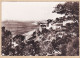 35133 / MARSEILLE Tramway Villas Promenade De La CORNICHE 1950s Photo-Bromure TARDY 48- Bouches-du-Rhone - Endoume, Roucas, Corniche, Strände
