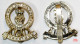 Delcampe - 22 Insignes De Béret De L’armée Anglaise – Cap Badge - Esercito