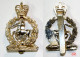Delcampe - 22 Insignes De Béret De L’armée Anglaise – Cap Badge - Armée De Terre