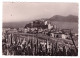 CALVI  (carte Photo) - Calvi