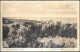 Germany Usedom Island Zinnowitz View From Hotel Seeadler Old PPC 1930s Mailed - Zinnowitz