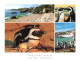 AFRIQUE DU SUD - Simonstrown - Cape Peninsula - South Africa - Multi-vues - Pingouin - Plage - Mer - Carte Postale - Zuid-Afrika