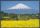 121177/ Mt. Fuji, Rape Blossoms - Autres & Non Classés