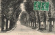 FRANCE - Gournay En Bray - Promenade Des Boulevards - Carte Postale Ancienne - Gournay-en-Bray