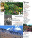 TERRE SAUVAGE N° 194 Jardin Sauvage , Ichnologie , Amerique Sud , Sentiers Sauvages Mont Saint Michel - Geography