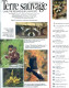 TERRE SAUVAGE N° 32 Animaux Raton Laveur , Vautours , Morse , Insectes Géographie Philippines Les Tau&acute;t Batu - Animales