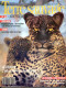 TERRE SAUVAGE N° 49 Animaux Léopard , Hippocampes , Hérissons ,  Géographie Marquises , Chine Choix Des Femmes - Animals