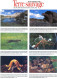 TERRE SAUVAGE N° 65 Animaux Serval , Canpée , Sexe Sous Mer Géographie SPECIAL MERCANTOUR , Aldabra , Iles Salomon - Animaux
