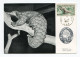 !!! AOF CARTE MAXIMUM PANGOLIN CACHET DE DAKAR DU 8/6/1955 - Covers & Documents